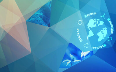 Nueva Política Medioambiental de Vaempack